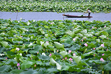 ʮ������ͼ